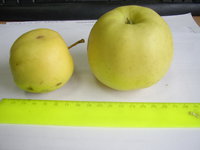 STA44823.JPG