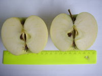 STA44824.JPG