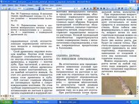 Камбий.jpg