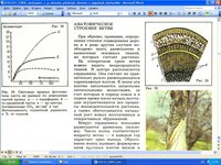 строение ветви яблони.jpg