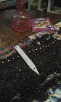 20160110_184551.jpg