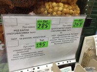 image.jpeg