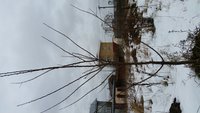 20160131_153523.jpg
