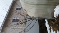 20160131_153337.jpg