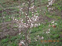 DSCN3456.JPG