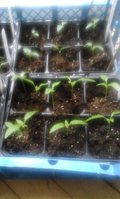 20160205_142723.jpg