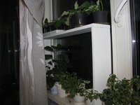 IMG_0026.JPG