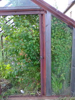 2012-07-09 17-19-04.JPG