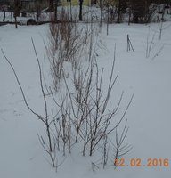 DSCN4358.JPG