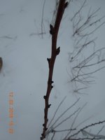 DSCN4362.JPG