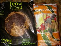 P1011012.JPG