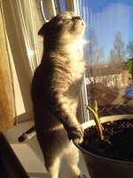 весна скоро7.jpg