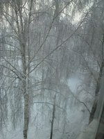 8krqKF860X8.jpg