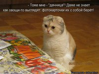 kotomatritsa_sm.jpg