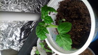 20160307_210736.jpg