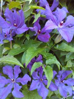 WP_006550.jpg