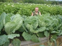 капуста.jpg