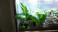 WP_20160407_012.jpg