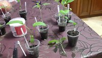 IMG_20160409_161146.jpg