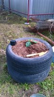 WP_20160424_010.jpg