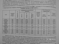 96 013000.jpg