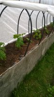 WP_20160502_009.jpg
