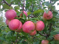 2012-08-23 14-23-08.JPG