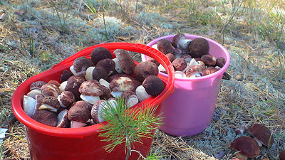copDSC02086.jpg