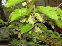 DSCN1205.JPG