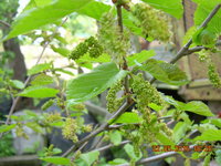DSCN1206.JPG