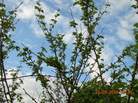 DSCN1207.JPG