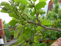 DSCN1208.JPG