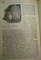 P1010794.JPG