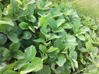 20160612_100019.jpg