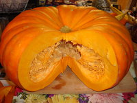 DSC09895.JPG
