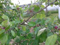 20160612_M2.jpg