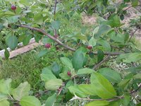 20160612_М1.jpg