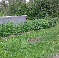 Фото015.jpg