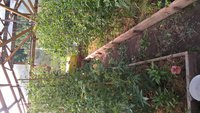 WP_20160626_07_32_09_Pro.jpg