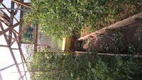 WP_20160626_07_32_14_Pro.jpg