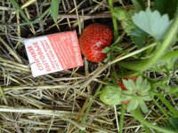 20160701_110021[1].jpg