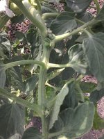 20160623_153930.jpg
