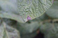 IMG_5790.jpg