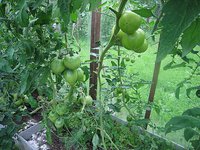 IMG_6779.jpg