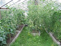 IMG_6791.jpg