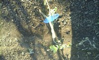 20160530_185941.jpg