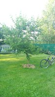 P_20160715_185827.jpg