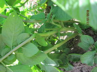 IMG_1480.JPG