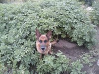 20160719_102410.jpg