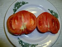 Минусинские в разрезе.jpg
